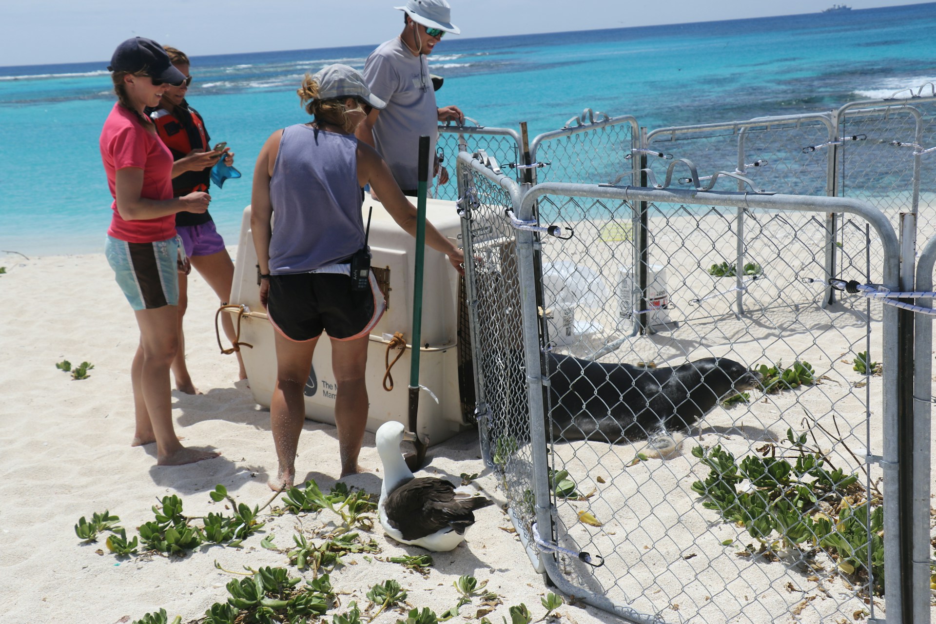 Marine Biology Careers: Scope, Salaries & Future