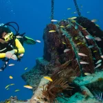 Have You Tried Eco-Diving Yet? Discover What It Is And The Best Places To Do It (in the U.S.)