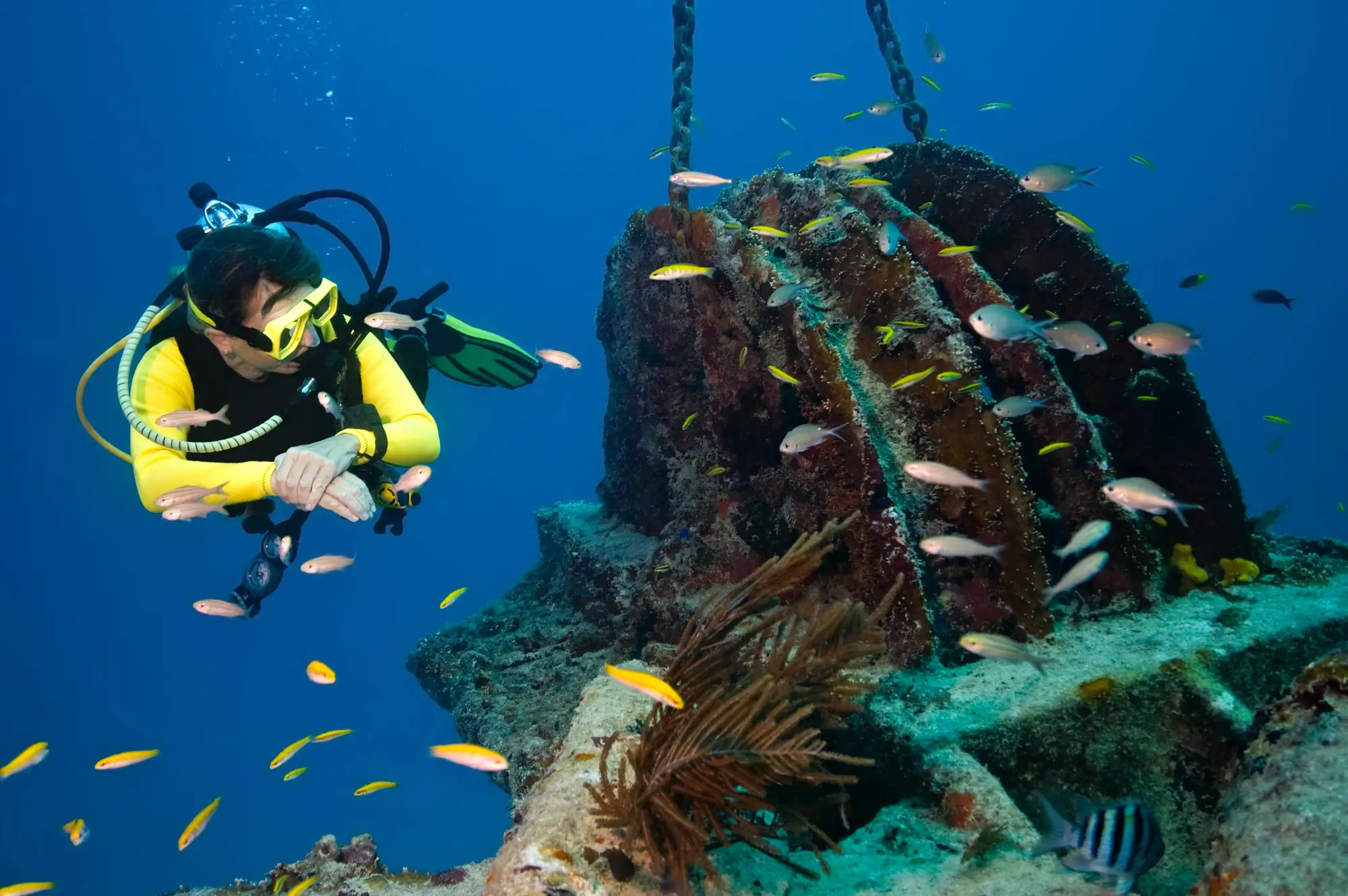 Have You Tried Eco-Diving Yet? Discover What It Is And The Best Places To Do It (in the U.S.)