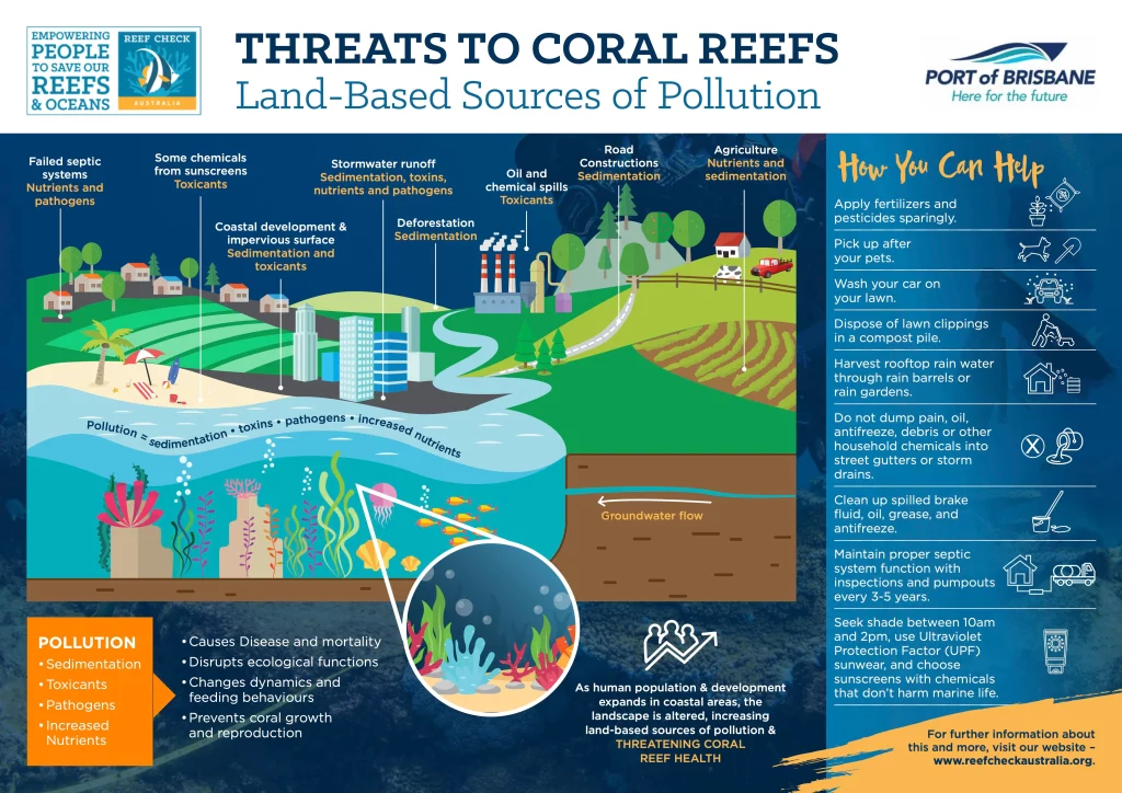 Human Impact on Coral Reefs: How Tourism Can Help or Harm