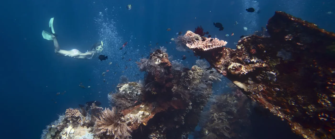 Wreck diving in Bali