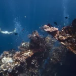 Wreck diving in Bali