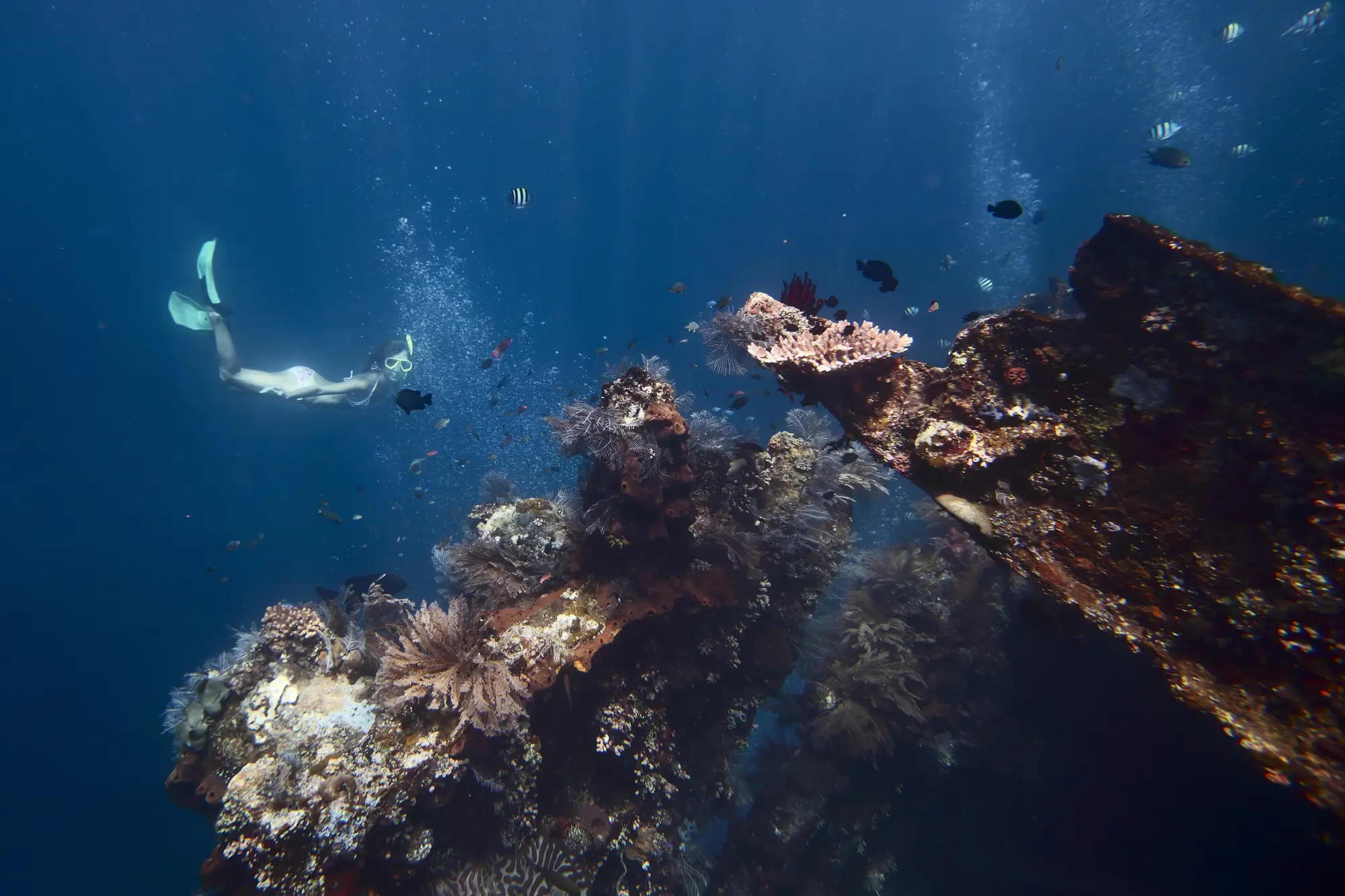 Wreck diving in Bali