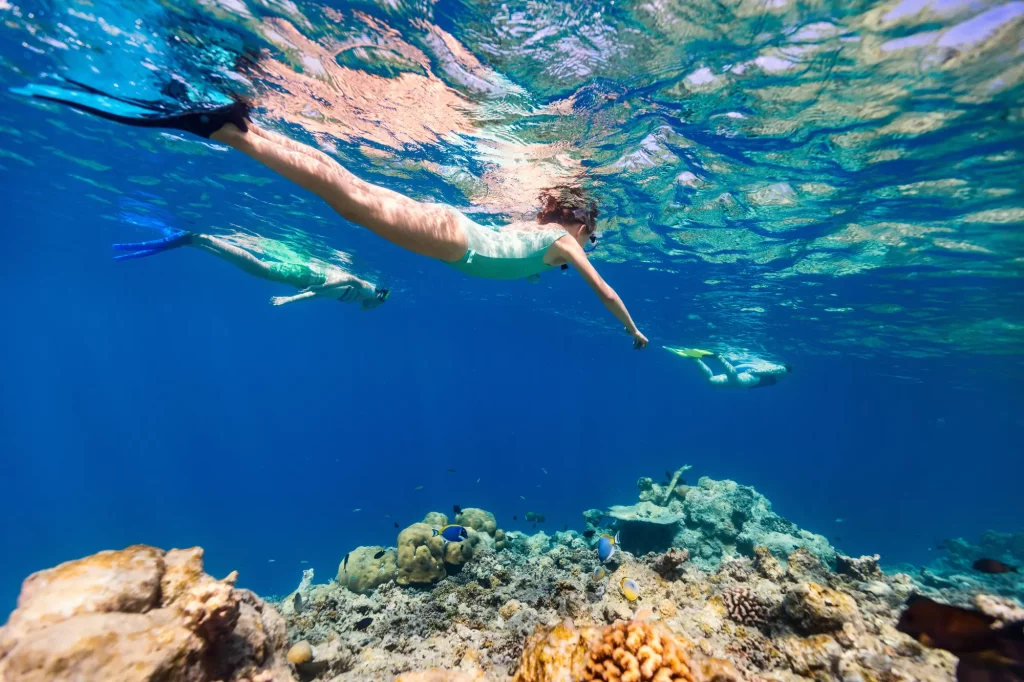 Best Snorkeling Destinations In The Caribbean